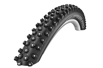 Amazon | シュワルベ アイススパイカープロ 29インチ(622